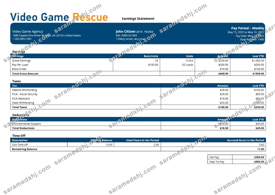 video game company paystub template in Word and PDF formats